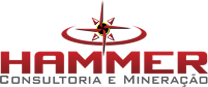 Hammer Logo