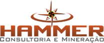 Hammer Logo