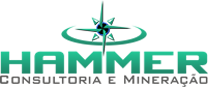 Hammer Logo